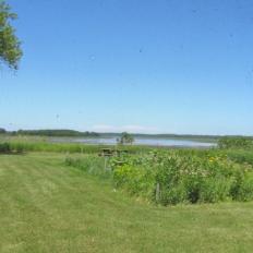 View from screen room