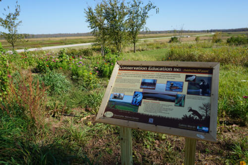 Pollinator Garden